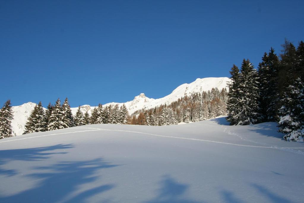 Haus Mattle Διαμέρισμα Pettneu am Arlberg Εξωτερικό φωτογραφία