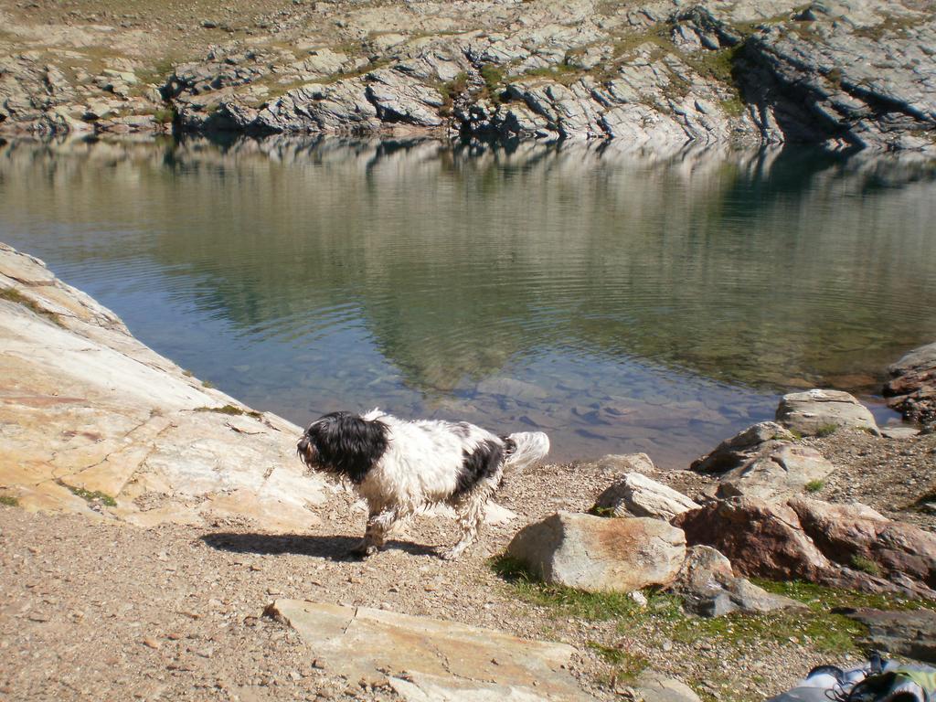 Haus Mattle Διαμέρισμα Pettneu am Arlberg Δωμάτιο φωτογραφία